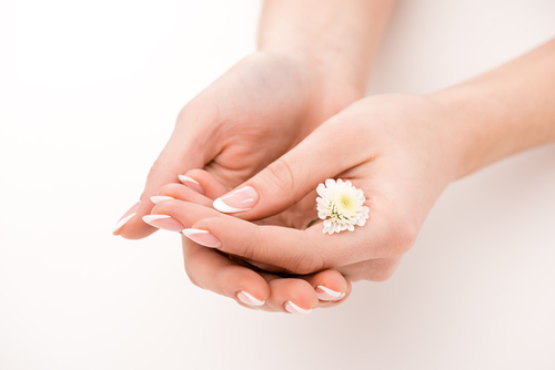 young woman's hands with flower